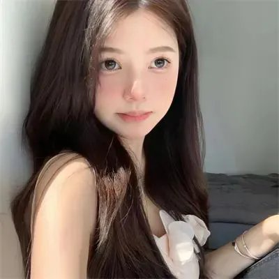 欢迎来到丛林